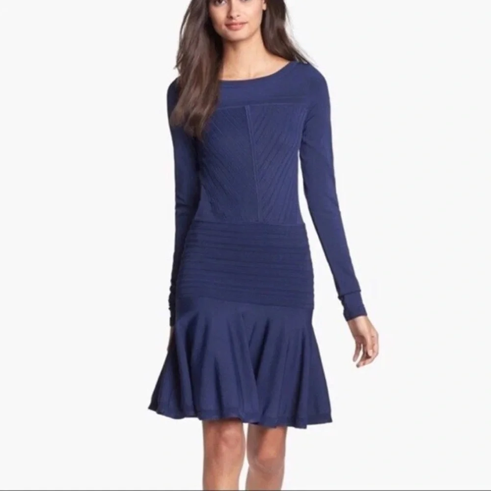 Diane Von Furstenberg Dress Delta Blue Stretch Knit Long Sleeve Size Medium